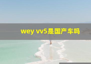 wey vv5是国产车吗